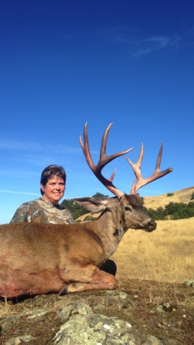 2014 deer hunting 20150129 1994926348